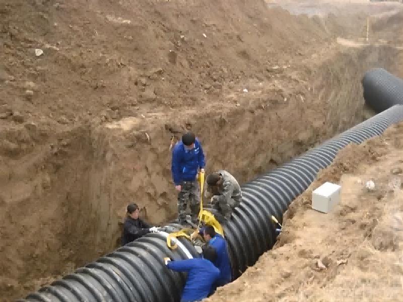 prihláška2 prihláška2